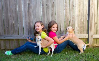 The Best Fences for Keeping Your Family Safe