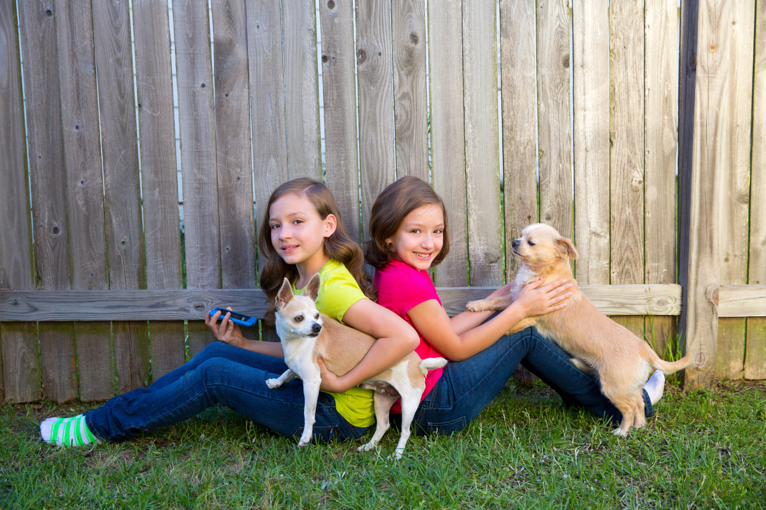 fences for pets and family