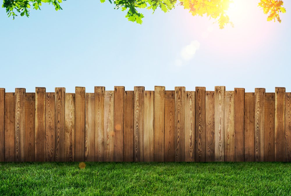 Pros And Cons of Fencing Varieties