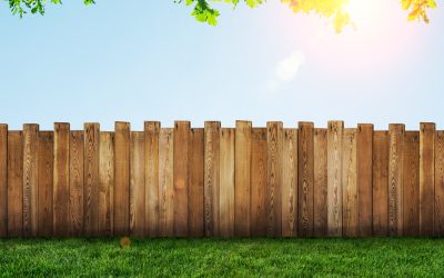 Pros And Cons of Fencing Varieties