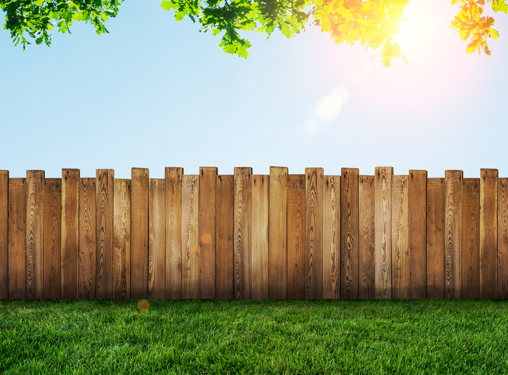 Pros And Cons of Fencing Varieties