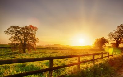 The Best Fences for Farmland