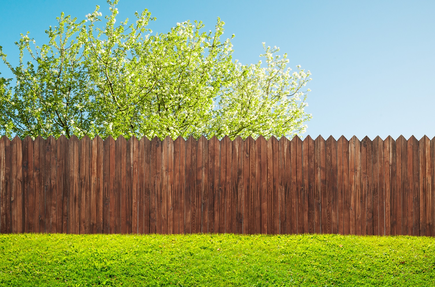 5 Ways to Prepare Your Yard for Fence Installation