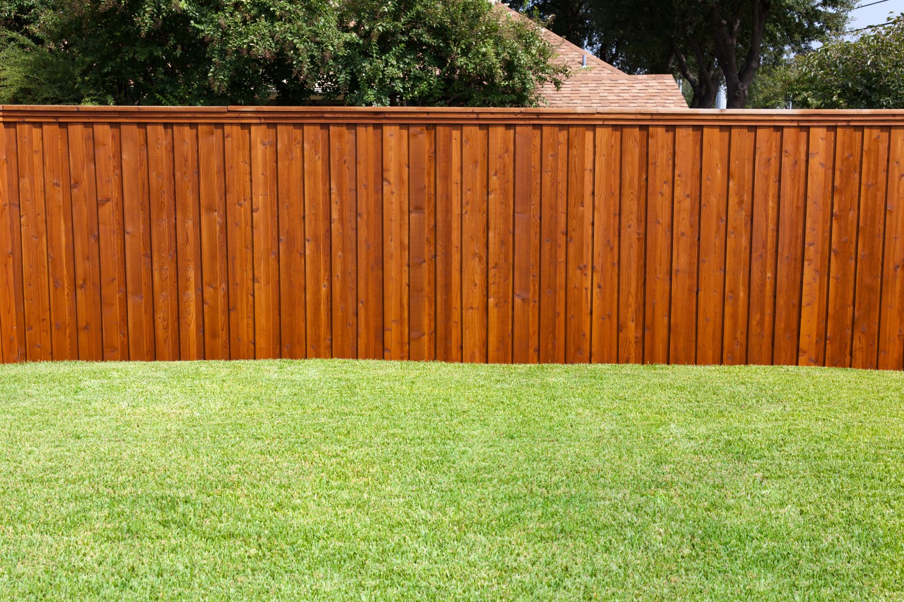 Choosing The Best Type Of Fence