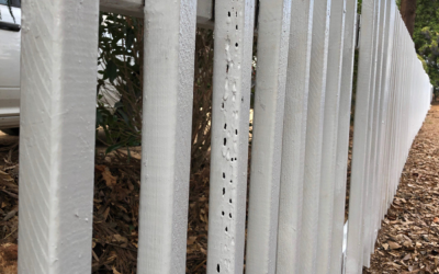 How to Prevent Termites in Your Wood Fence