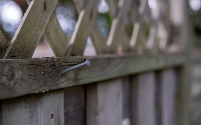 Seasonal Cleaning: How To Upkeep Your Fencing