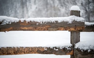 The Best Way To Weatherproof Your Fence