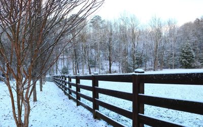 Protect Your Fence From Winter Damage