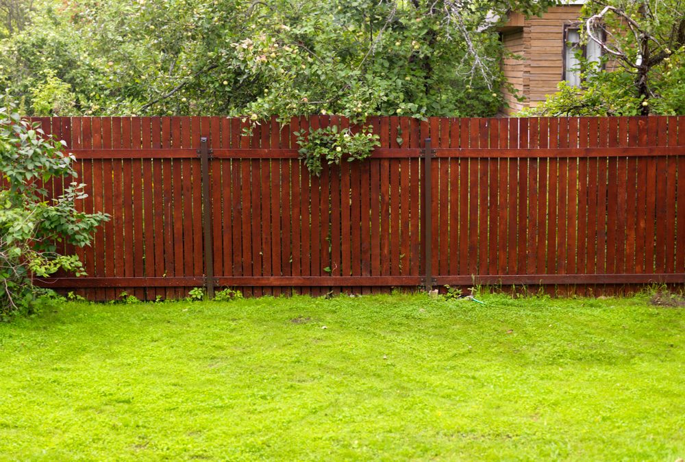 Protect Your Wood Fence From Termites