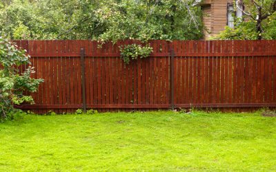 Protect Your Wood Fence From Termites