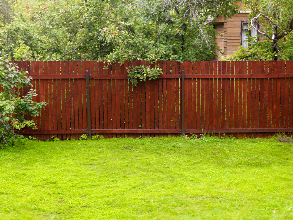 Protect Your Wood Fence From Termites
