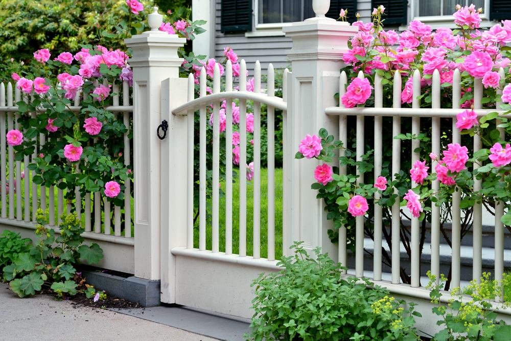 Can A Picket Fence & Gate Help Preserve Your Grass?