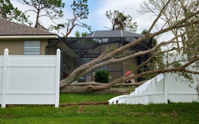 Tips For Handling Fence Damage Caused By Trees