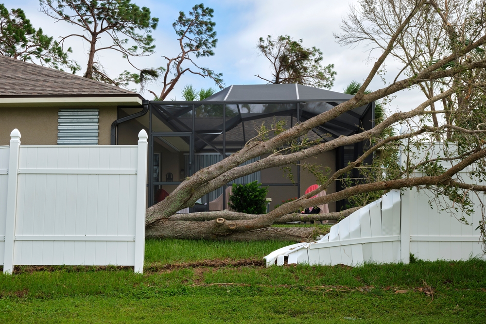 Tips For Handling Fence Damage Caused By Trees