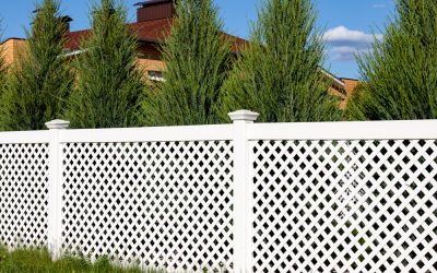 Best Fencing for Escape Artist Pets