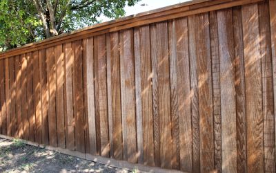 Fence Maintenance 101: Tips for Keeping Your Investment in Top Shape