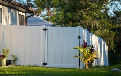 Design Ideas for Privacy Fences